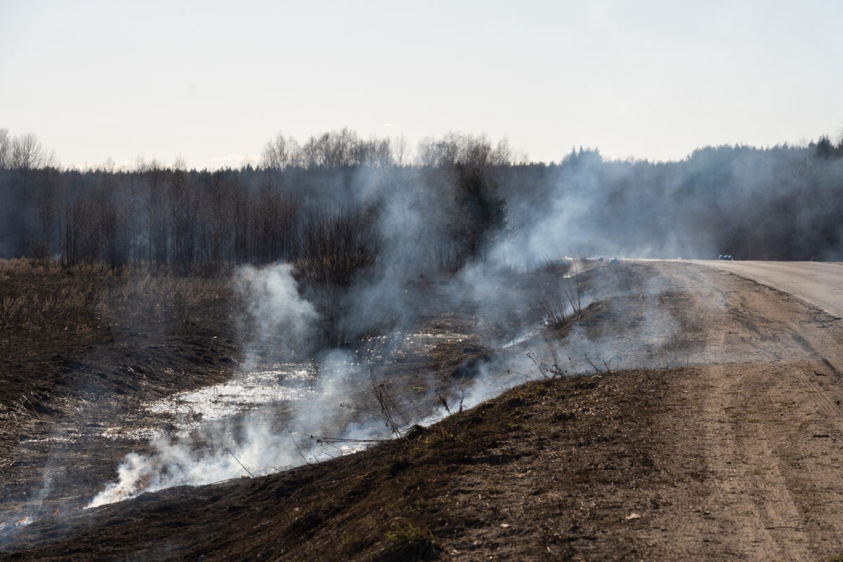 Ответственность за пожары в России будут нести собственники земель