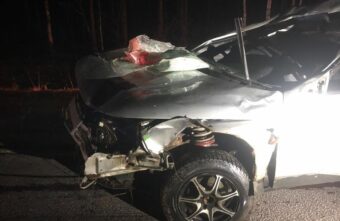 Водитель ВАЗа погиб в ДТП с участием лося в Тверской области