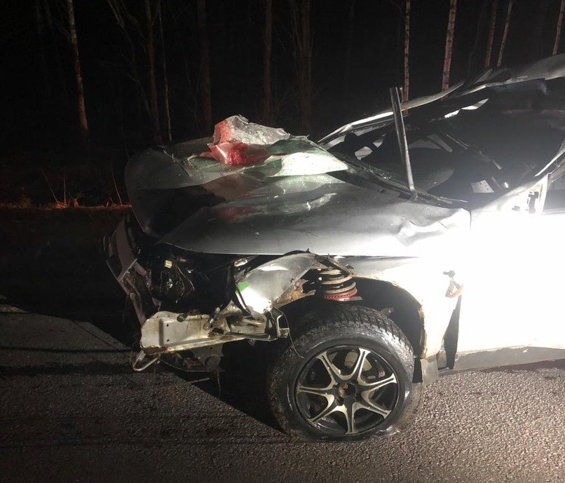 Водитель ВАЗа погиб в ДТП с участием лося в Тверской области