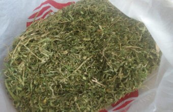 Больше килограмма марихуаны нашли у жителя посёлка в Тверской области