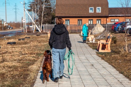 Кинологи рассказали, чем опасна для питомцев весенняя оттепель
