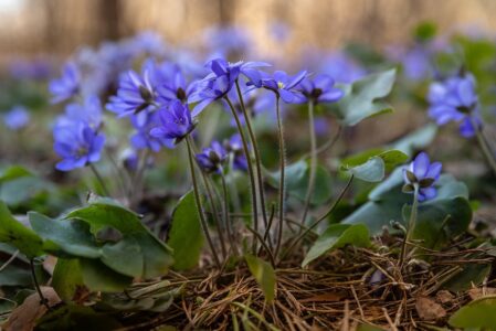 На этой неделе погода в Тверской области порадует дачников На этой неделе погода в Тверской области порадует дачников