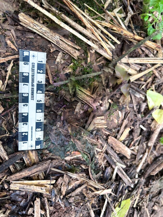 В Тверской области предстанут перед судом трое мужчин за жестокие преступления