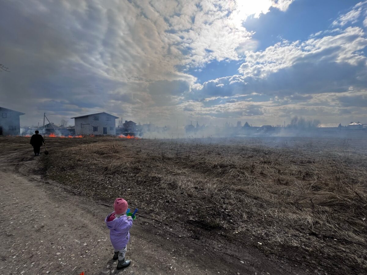 В Калининском районе рядом с жилыми домами подожгли поле | ТОП Тверь новости