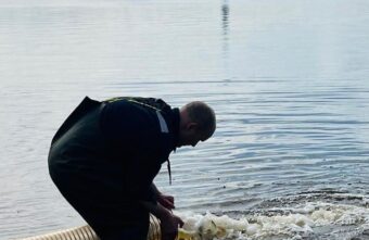 В Угличское водохранилище в Тверской области выпустили 135 тысяч мальков стерляди В Угличское водохранилище в Тверской области выпустили 135 тысяч мальков стерляди