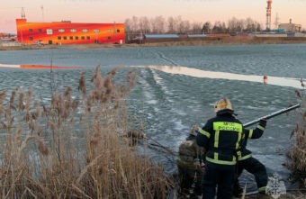 В Тверской области спасатели вытащили из воды тонущую собаку В Тверской области спасатели вытащили из воды тонущую собаку