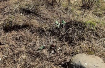 Тверитяне продолжают оставлять мусор на берегу Волги Тверитяне продолжают оставлять мусор на берегу Волги