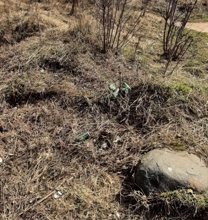 Тверитяне продолжают оставлять мусор на берегу Волги