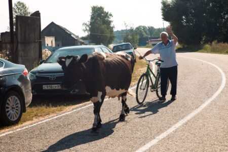 Россиянам рассказали о штрафах за нарушения на дачных участках Россиянам рассказали о штрафах за нарушения на дачных участках