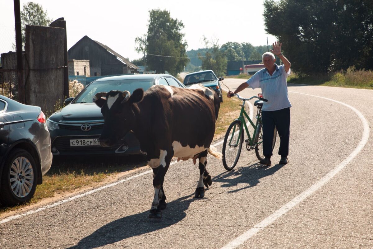 Россиянам рассказали о штрафах за нарушения на дачных участках