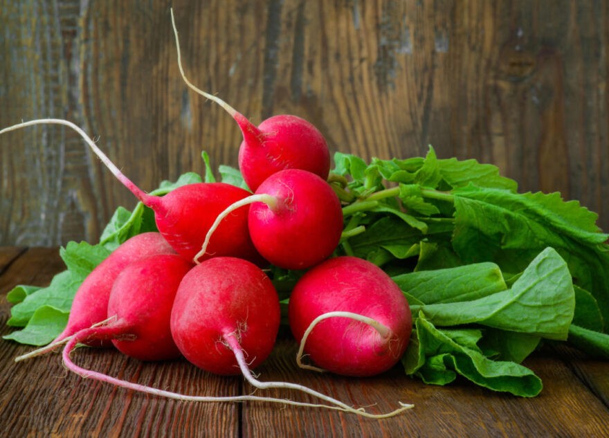 Врач рассказала, чем опасен редис