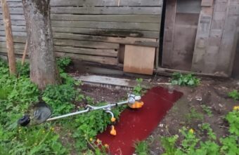 В Тверской области поймали мужчину, пытавшегося украсть бензотриммер В Тверской области поймали мужчину, пытавшегося украсть бензотриммер