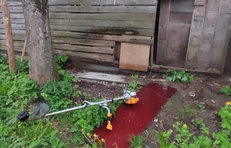 В Тверской области поймали мужчину, пытавшегося украсть бензотриммер В Тверской области поймали мужчину, пытавшегося украсть бензотриммер
