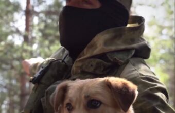 Подобранная российскими военными собака Альба спасла им жизни в зоне СВО Подобранная российскими военными собака Альба спасла им жизни в зоне СВО