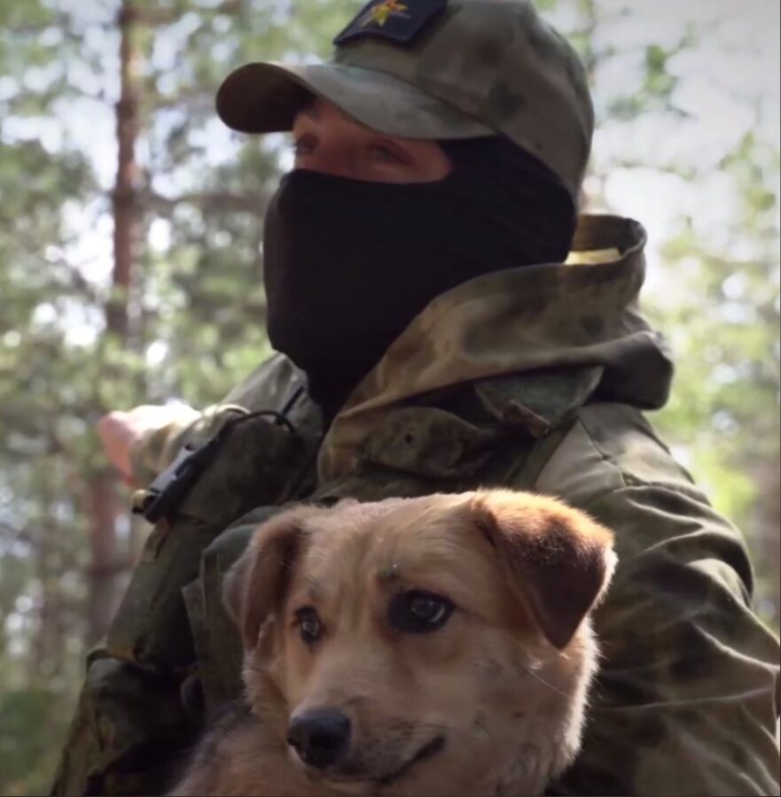 Подобранная российскими военными собака Альба спасла им жизни в зоне СВО