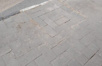 Улицы Твери лишаются зелени