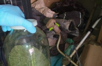 Житель Тверской области прятал в своём гараже марихуану и коноплю Житель Тверской области прятал в своём гараже марихуану и коноплю