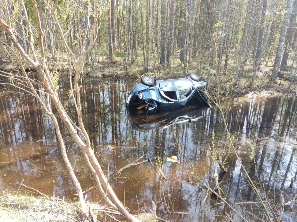 Появились подробности ДТП с иномаркой, «вылетевшей» в кювет в Тверской области Появились подробности ДТП с иномаркой, «вылетевшей» в кювет в Тверской области