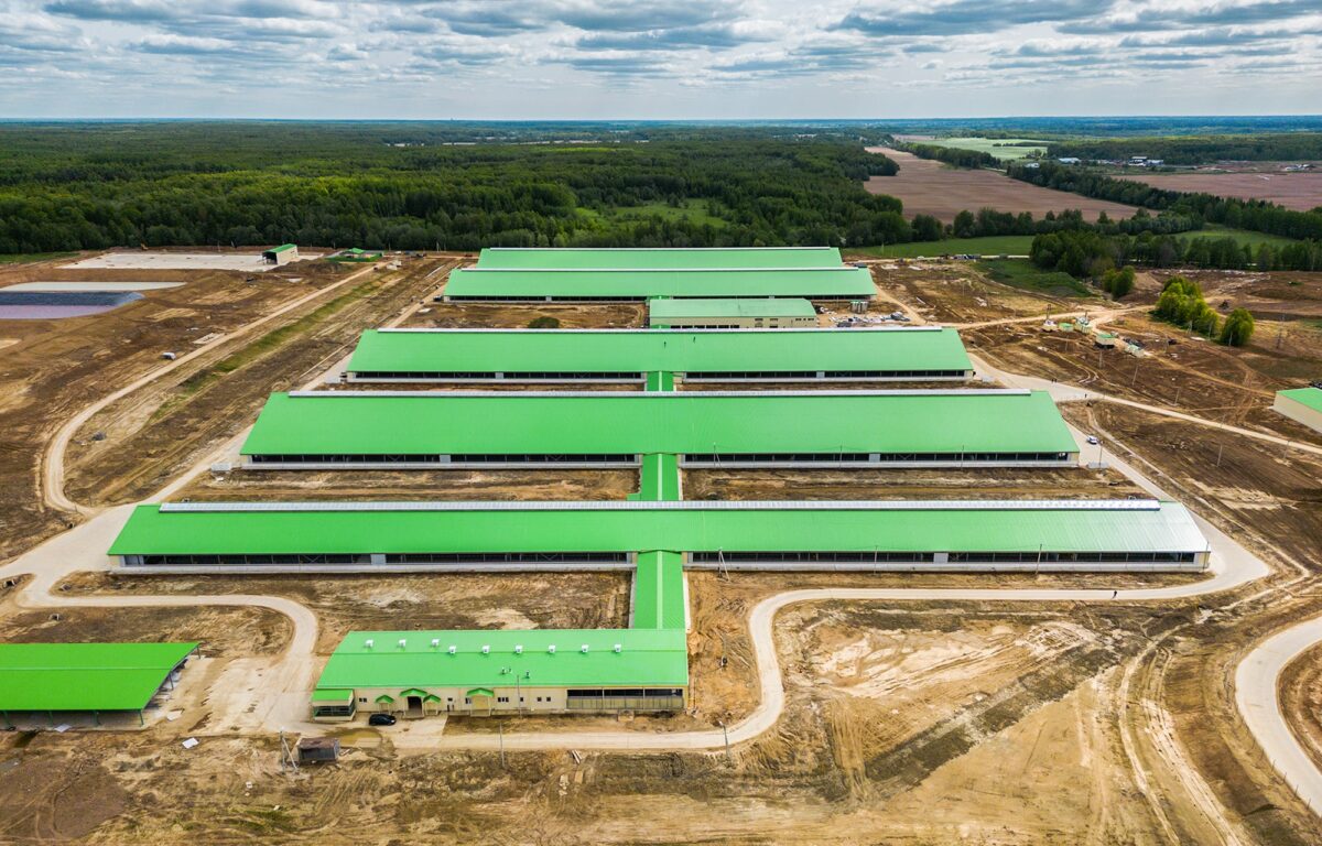 В Кашинском округе завершился первый этап создания нового комплекса молочного животноводства