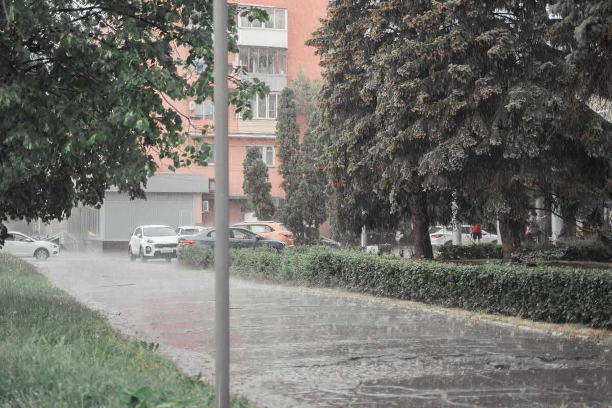 Жителей Тверской области предупредили о дождливой неделе