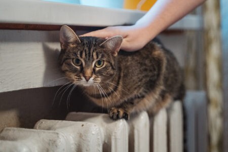 Правительство Тверской области лично проконтролирует подготовку к отопительному сезону