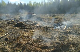 В Тверской области перекрыли дорогу из-за лесного пожара