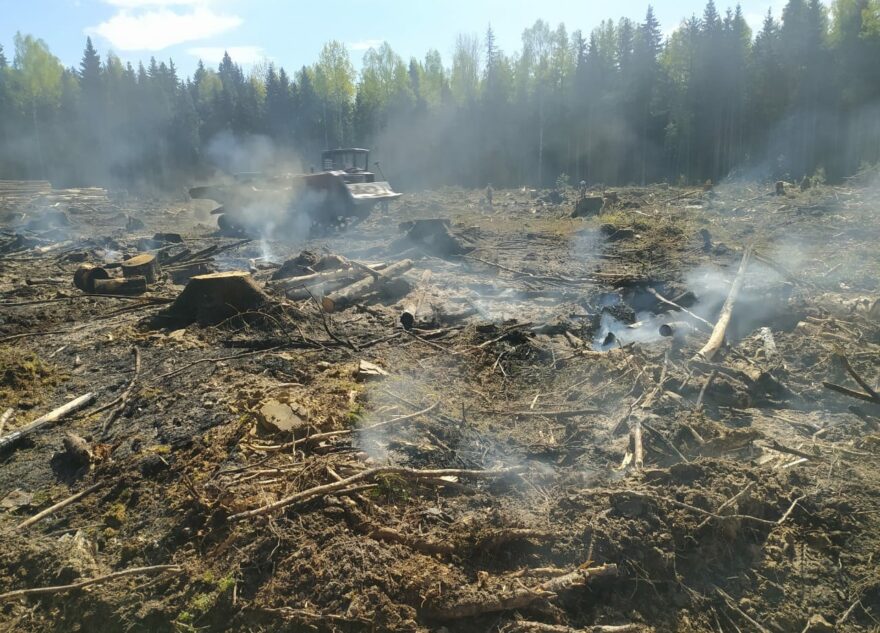 В Тверской области перекрыли дорогу из-за лесного пожара