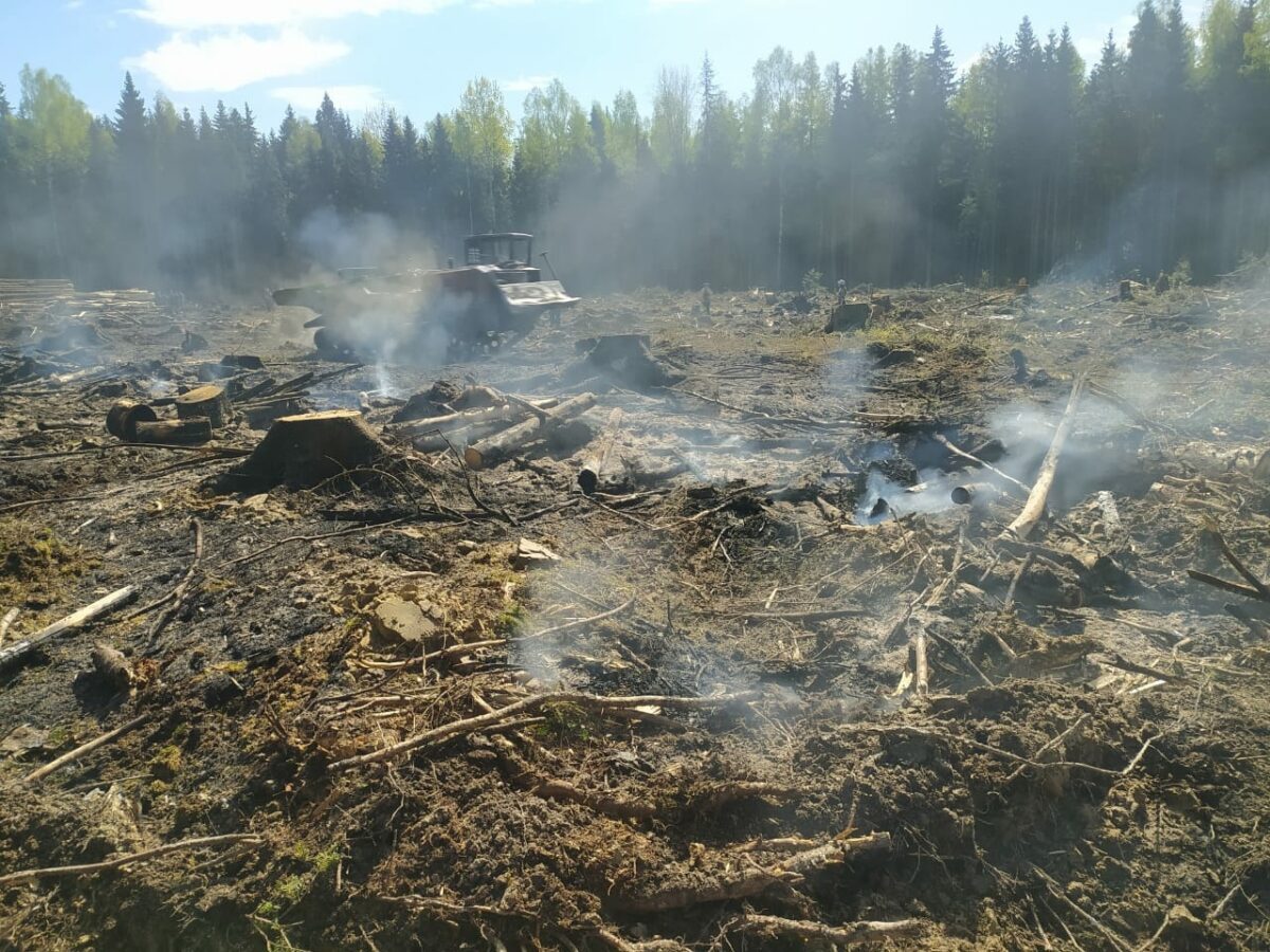 В Тверской области перекрыли дорогу из-за лесного пожара | ТОП Тверь новости