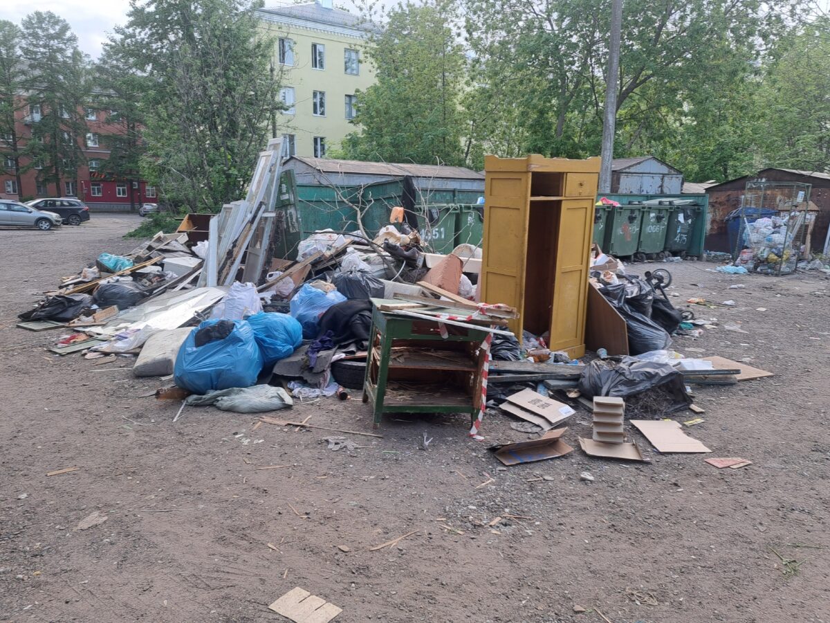 В Пролетарском районе Твери во дворе дома растёт помойка | ТОП Тверь новости