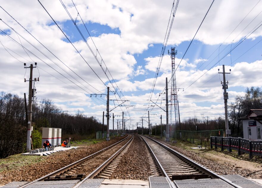 Три лося погибли под колёсами поездов в Тверской области