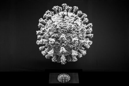 Коронавирус в Тверской области 6 мая: ещё 71 человек заразился