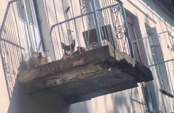 В Тверской области хозяева постоянно запирают собак на балконе