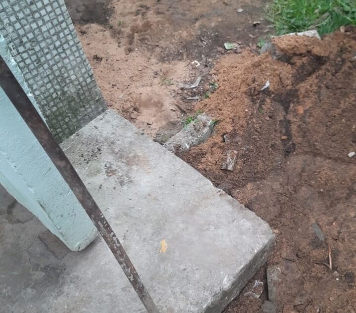 В Твери под подъездной плитой заживо замуровали кошку