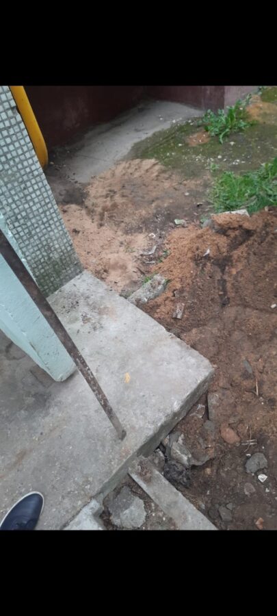 В Твери под подъездной плитой заживо замуровали кошку