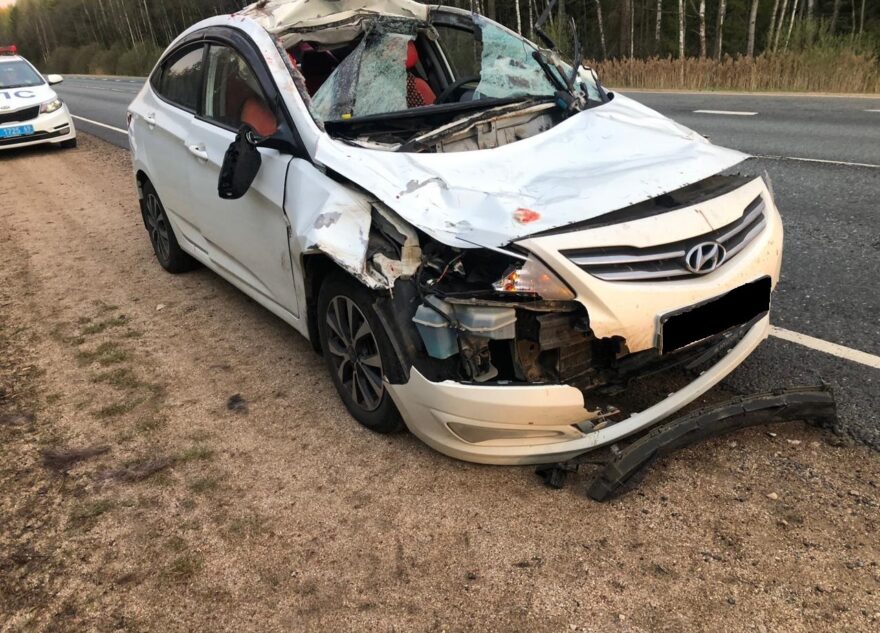 В Тверской области "Хёндай" наехал на перебегавшего дорогу лося В Тверской области "Хёндай" наехал на перебегавшего дорогу лося