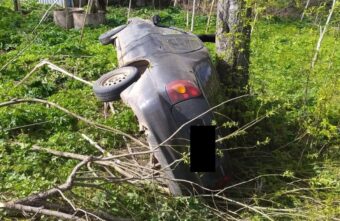 Выбежавший на дорогу лось попал под колёса "Ауди" в Тверской области Выбежавший на дорогу лось попал под колёса "Ауди" в Тверской области