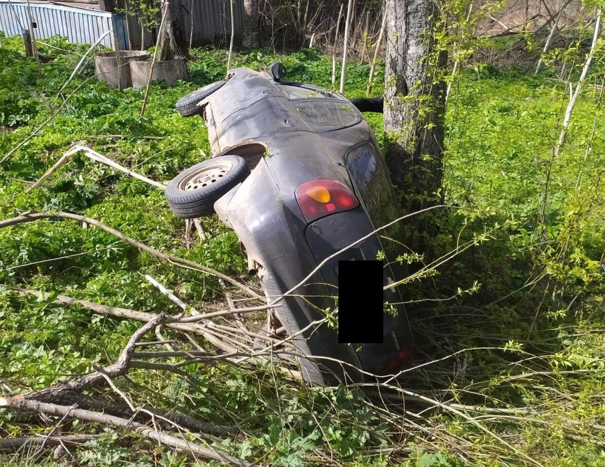 Выбежавший на дорогу лось попал под колёса "Ауди" в Тверской области