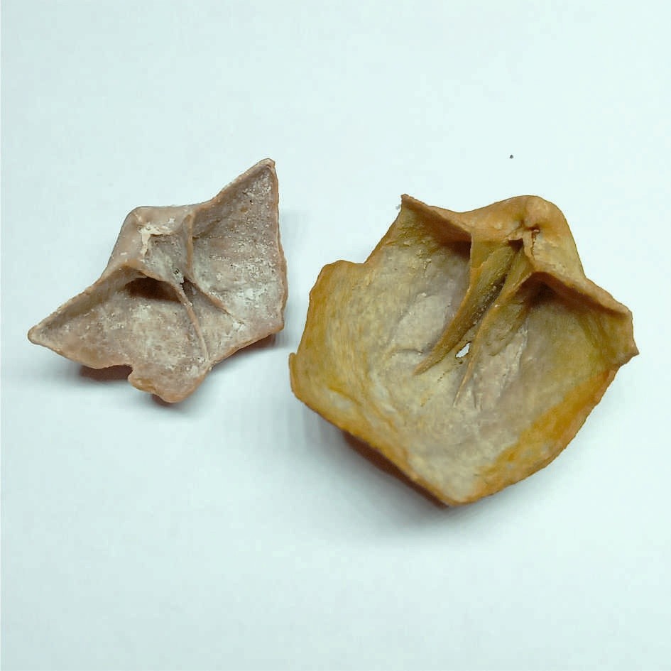 В Тверской области закрыли разработку карьера с древностями