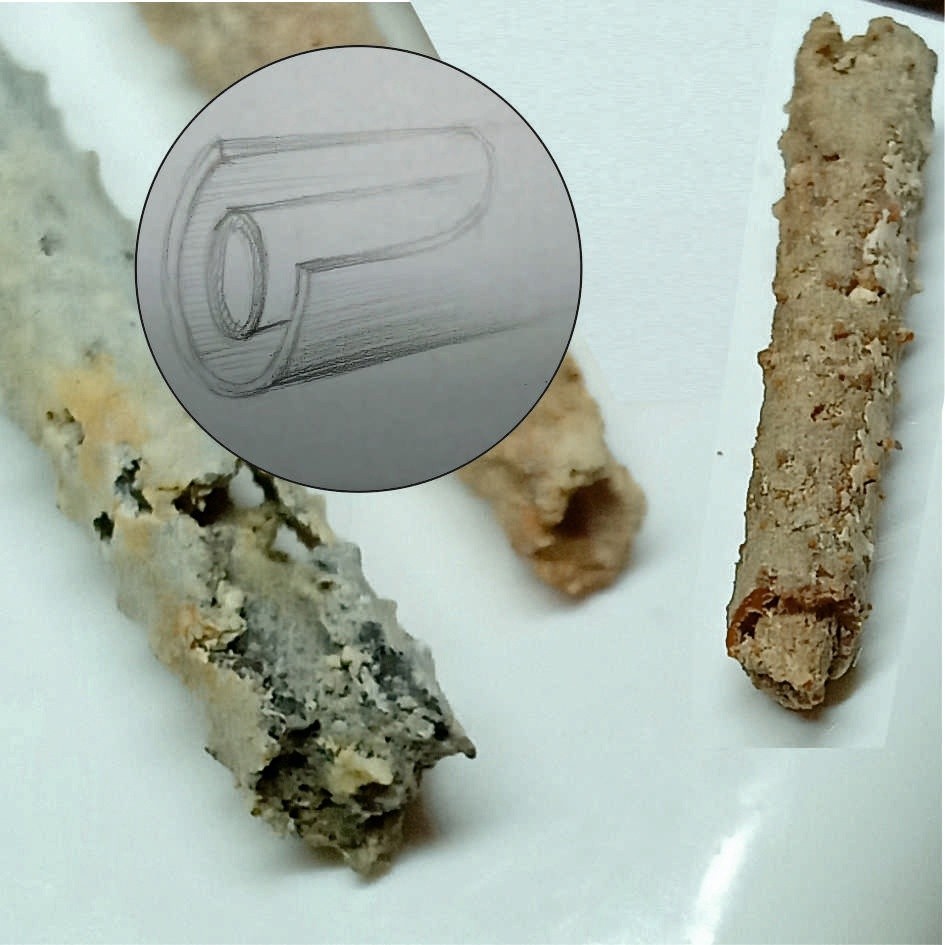 В Тверской области закрыли разработку карьера с древностями