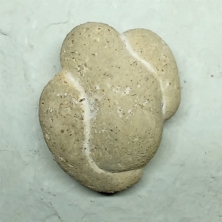 В Тверской области закрыли разработку карьера с древностями