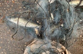 Тверские полицейские рассказали о наказании за рыбалку не по закону