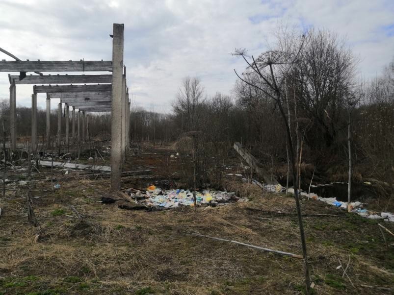 В Тверской области обнаружили свалку на частном участке земли