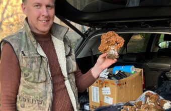 Жители Тверской области носят грибы корзинами и ведрами Жители Тверской области носят грибы корзинами и ведрами