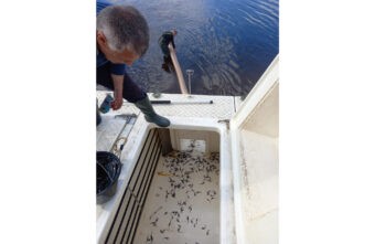 В Тверской области продолжается работа по зарыблению Угличского водохранилища