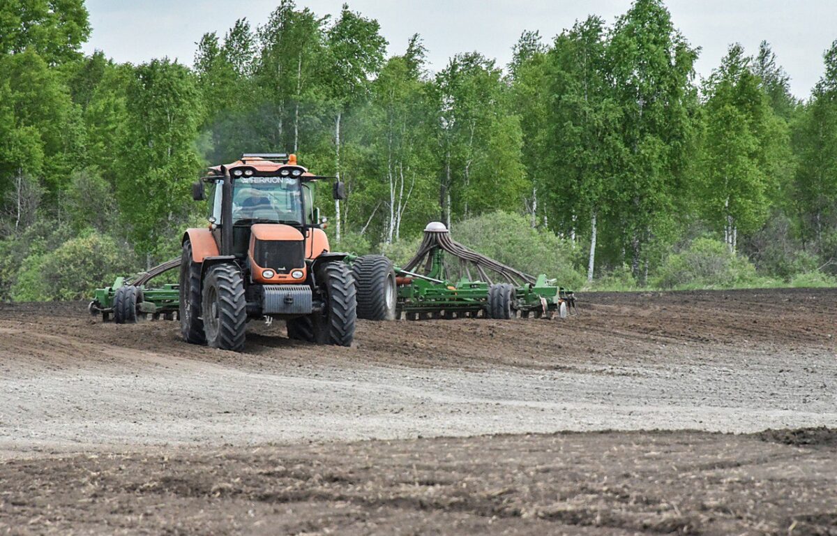 Хозяйства Тверской области завершают посевную кампанию