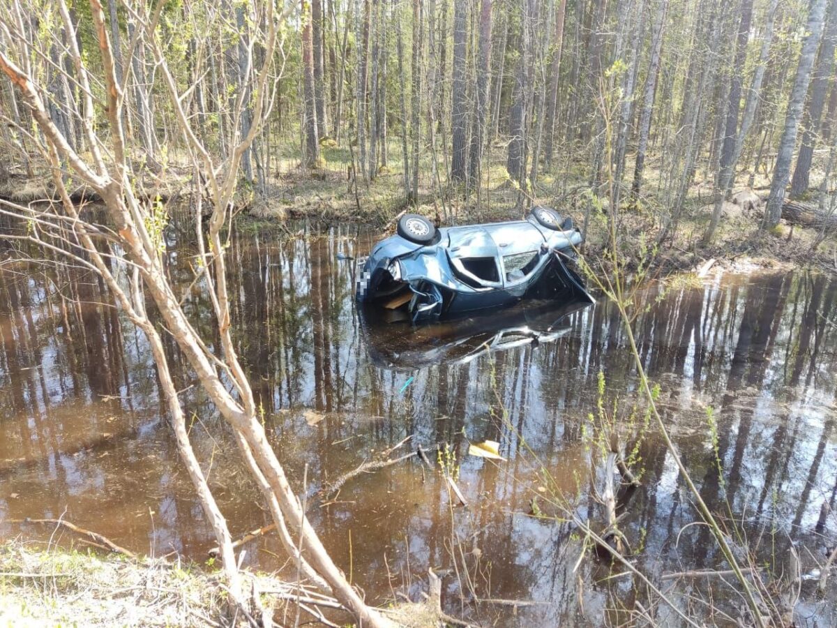 В Тверской области 