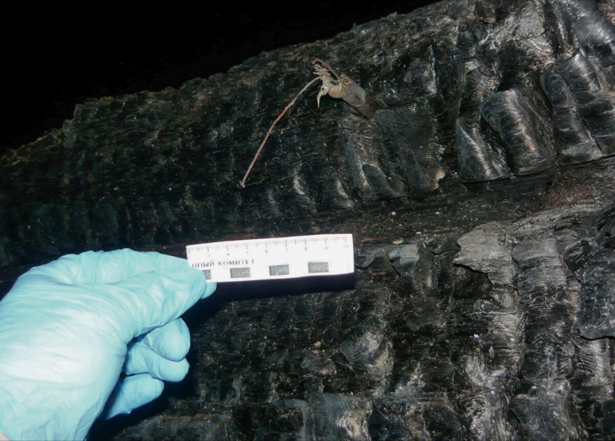 Следователи занялись гибелью жительницы Тверской области, труп которой нашли при тушении пожара