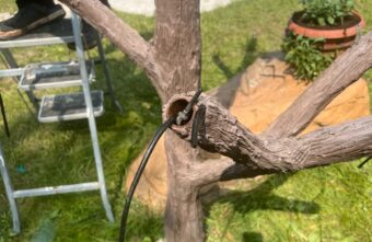 В Тверской области выпускники разрушили одну из самых красивых кафе-веранд города