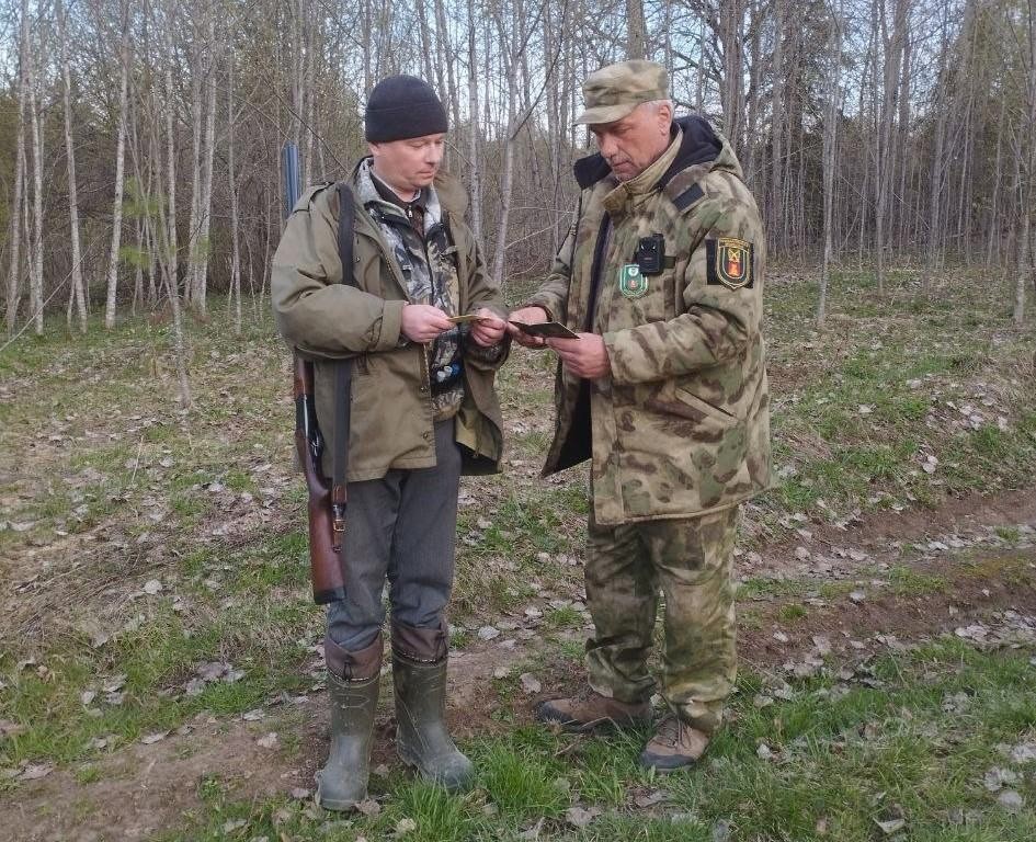 В Тверской области госинспекторы поймали охотников на лосей без прав