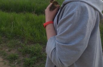 В Тверской области двух утят оставили умирать у магазина